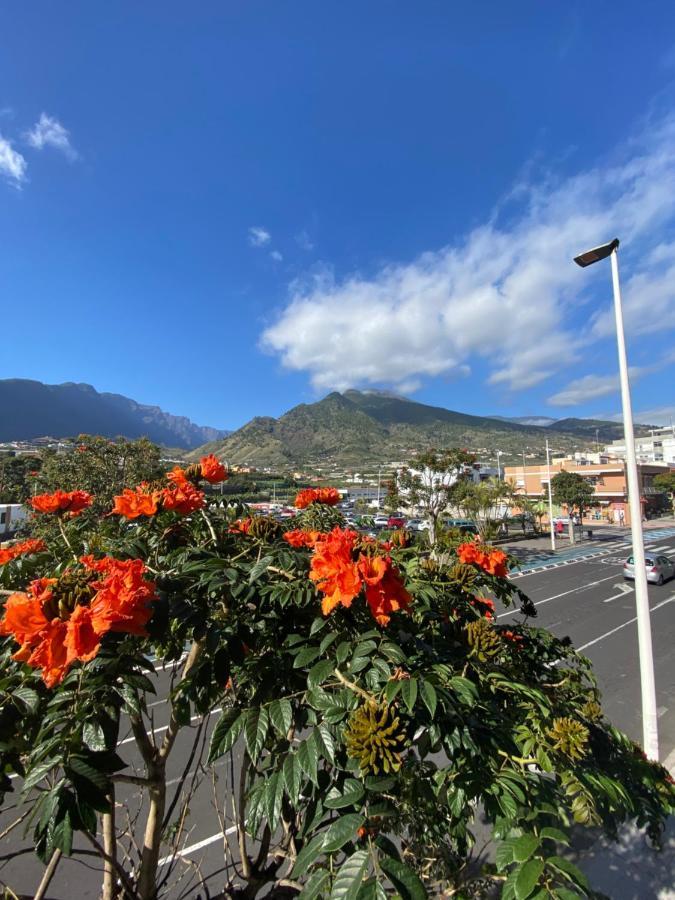 Casatranquila Lägenhet Los Llanos De Aridane Exteriör bild
